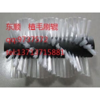 環形毛刷輪